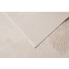 Dywan ANETT E714BE beige/cream