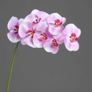 SZTUCZNA ROŚLINA - PĘD Z 7 KWIATAMI 80CM ORCHIDEA 60347-20 - PĘD Z 7 KWIATAMI RÓŻOWE 80CM ORCHIDEA PHALAENOPSIS 60347-20 - ped_z_7_kwiatami_rozowe_80cm_orchidea_phalaenopsis__60347-20_witek_pl.jpg