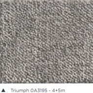 Wykładzina dywanowa AW TRIUMPH 95 (domowa) 4m i 5m - Wykładzina dywanowa AW TRIUMPH 95 - wykladzina_aw_home_triumph_0a3195_dywanywitek_pl_dsc_0840.jpg