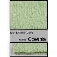 Wykładzina dywanowa OCEANIA 2444 lichene - wykladzina_dywanowa_oceania_lichene_2444_witek_pl_(1).jpg