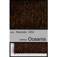 Wykładzina dywanowa OCEANIA 2453 noociola - wykladzina_dywanowa_oceania_noociola_2453_witek_pl_(1).jpg